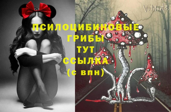 метадон Нея