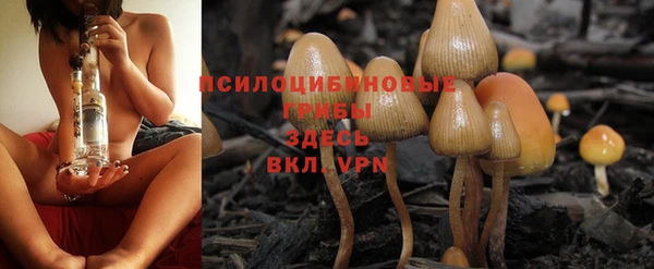 PSILOCYBIN Наволоки