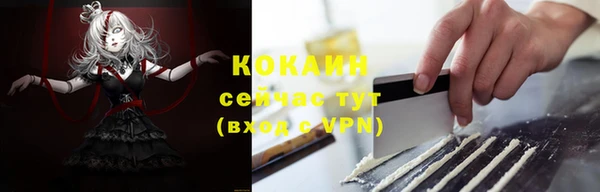 прущий лед Новозыбков