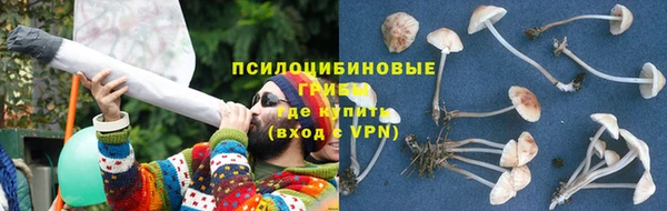 гидра Навашино