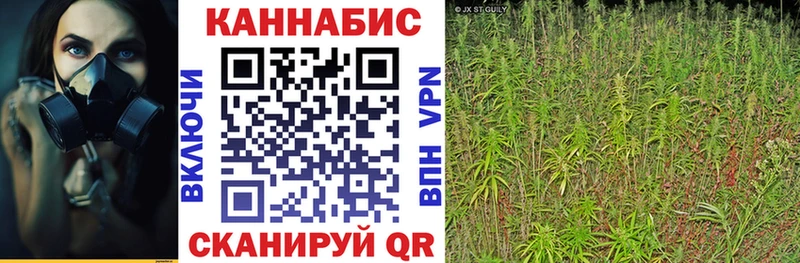 Бошки марихуана гибрид  Купить закладки  Железноводск 
